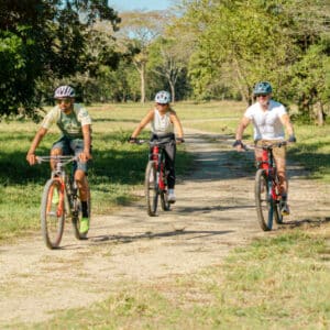 e bike tour